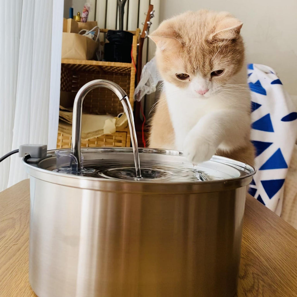 Cat Water Fountain S